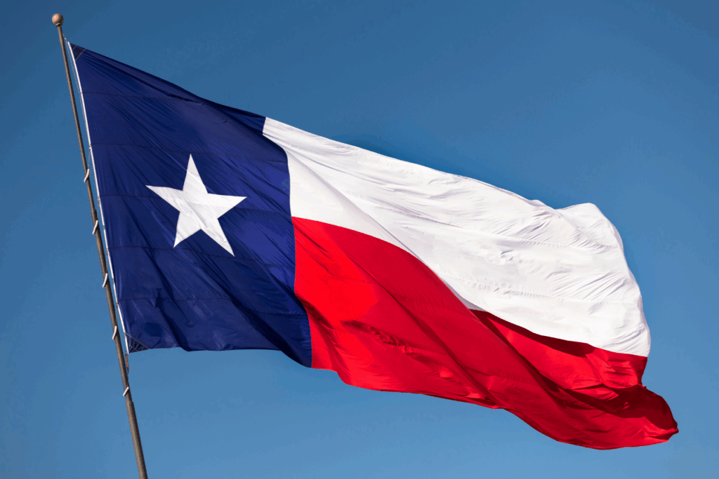 Texas flag